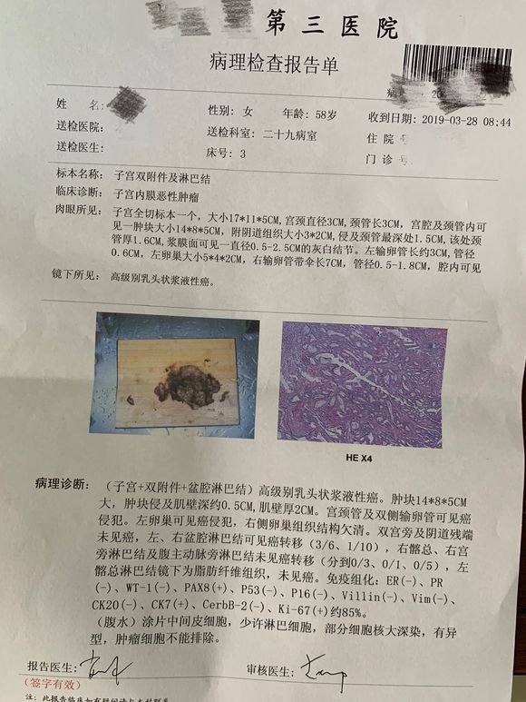 我妈妈的病理结果报告，3期c1
