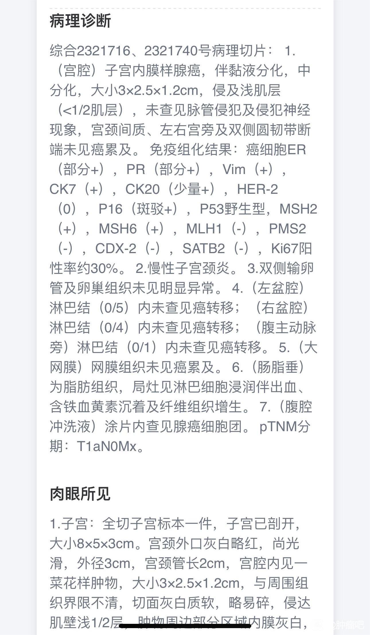 子宫内膜癌大病理咨询